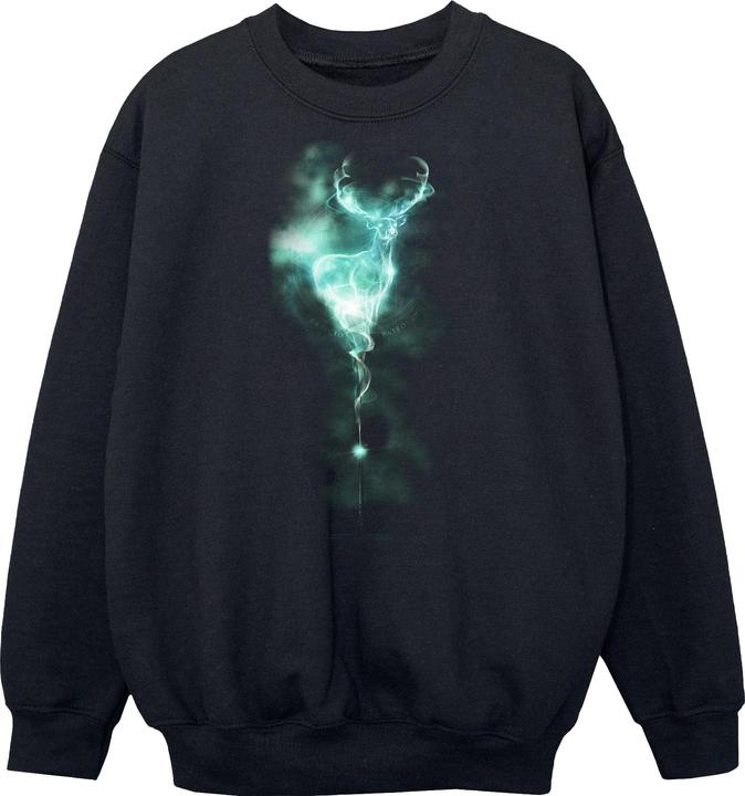 Boys Patronus Mist Stag Sweatshirt (116)