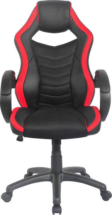 Actual product image Homexperts Hornet