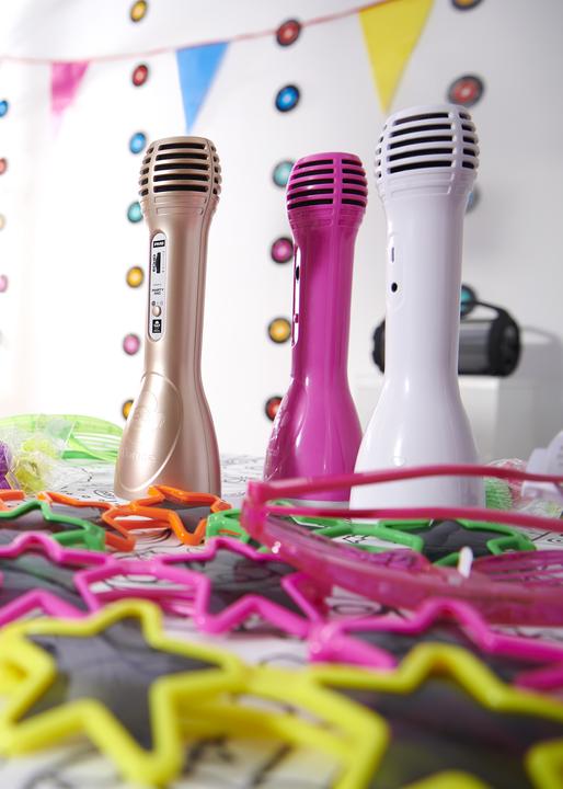 Image du produit Idance Party Mic PM-6