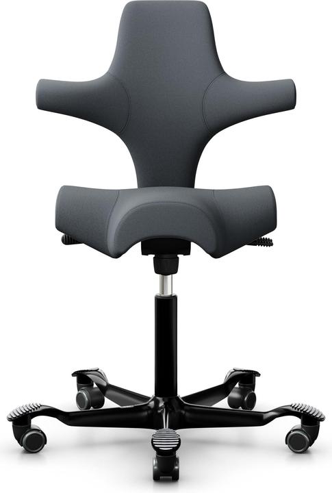 Produktbild HAG Capisco 8106 SELECT