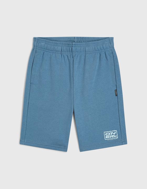 Immagine prodotto O'Neill Logo Sweatshorts (104)