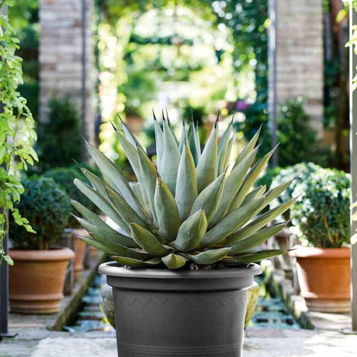 Productafbeelding Euro3plast Plantenbak (25 cm)