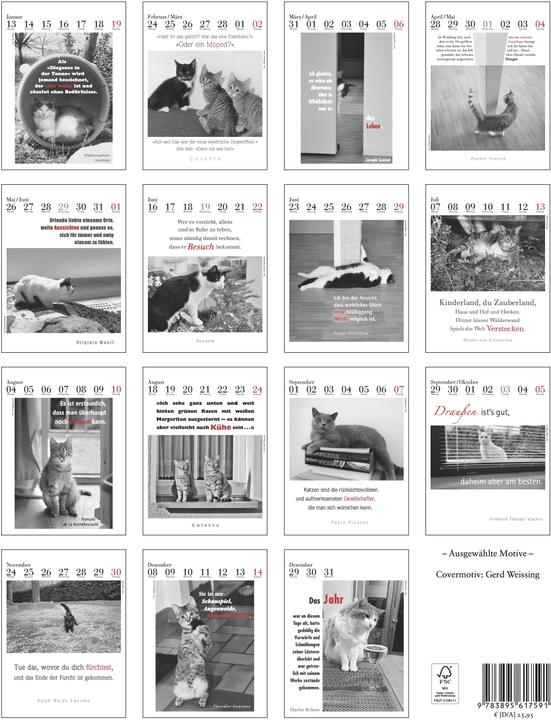 Immagine prodotto Il calendario dei gatti letterari (24 x 32 cm, Nessuna rilegatura, Tedesco)