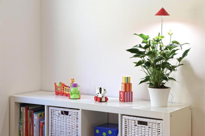 Produktbild Colibri Sunlite (LED, 230 V)