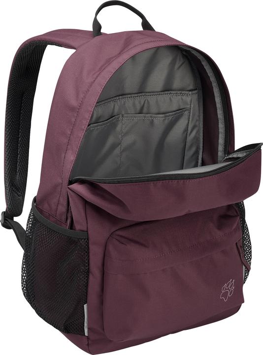 Actual product image Jack Wolfskin Back To School 25