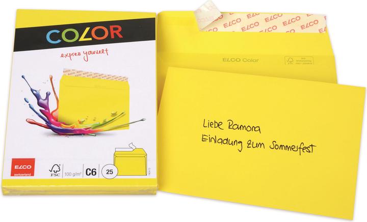 Actual product image Elco Color (C6, 25 x)