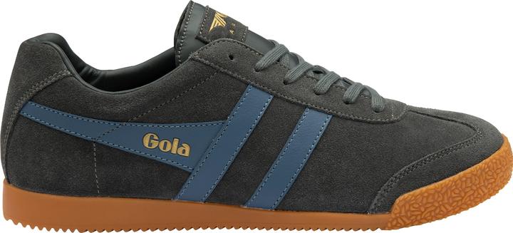 Immagine prodotto Gola Harrier (46)