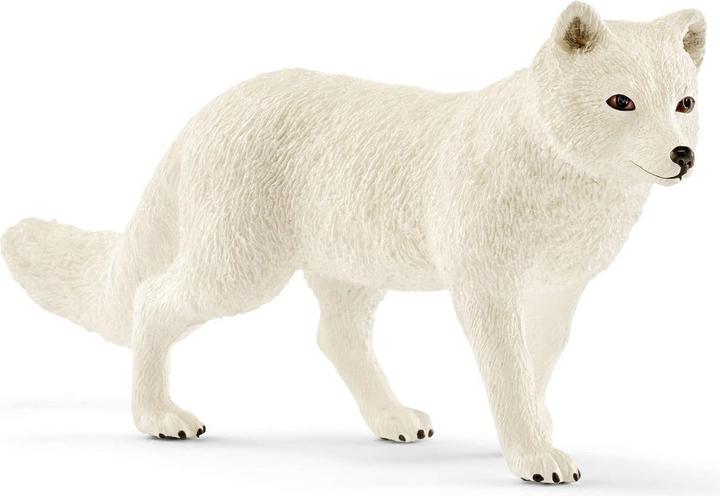 Image du produit Schleich Renard polaire