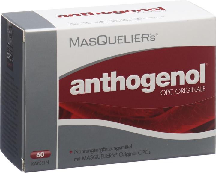 Masqueliers Anthogenol OPC Originale (60 Stück, Kapseln, 52 g)