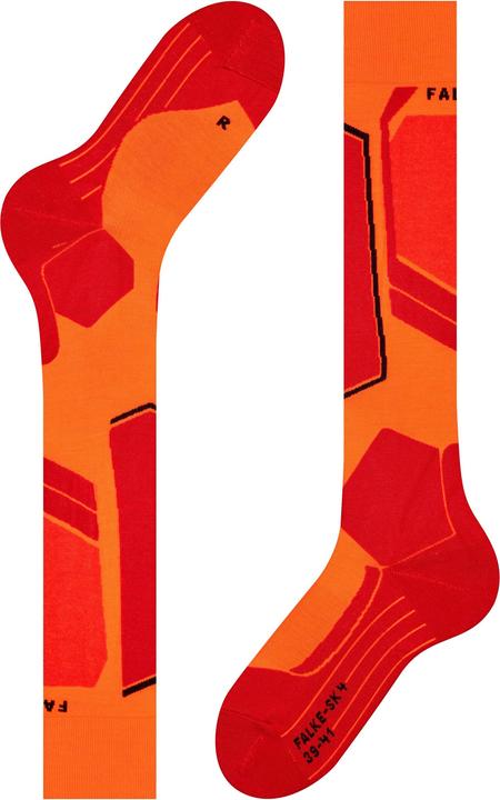 Actual product image Falke SK4 (42 - 43)