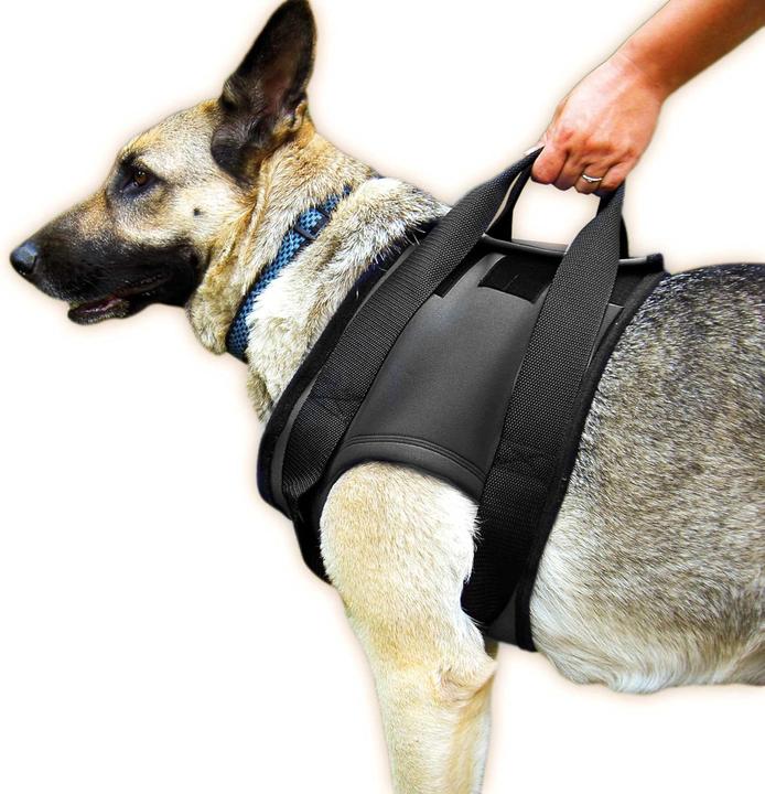 Produktbild Julius-K9 Gehhilfe-Geschirr (S, Hund, Allgemein)