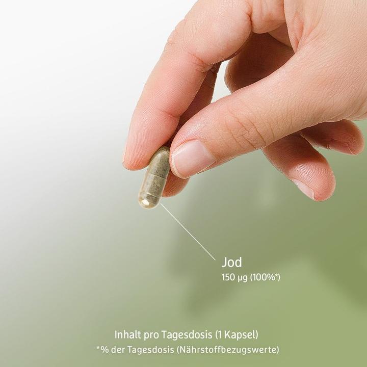 Produktbild Effective Nature Jod aus Bio-Kelp (180 Stück)