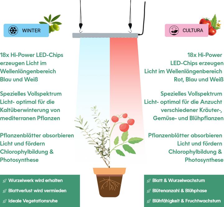 Actual product image Parus by Venso plant fitting GrowLight Quattro 30W, stimulation of photosynthesis and chlorophyll fo (LED, 245 V)