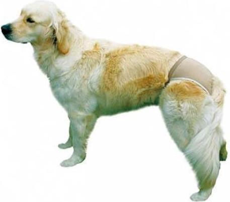 Produktbild Trixie Schutzhöschen XL 60-70cm (XL, Hundeoverall)
