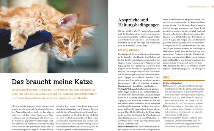 Produktbild Katzen (Deutsch, Gerd Ludwig, 2013)