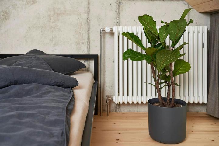 Image du produit lavie Linus (Housse de couette, 200 x 210 cm)