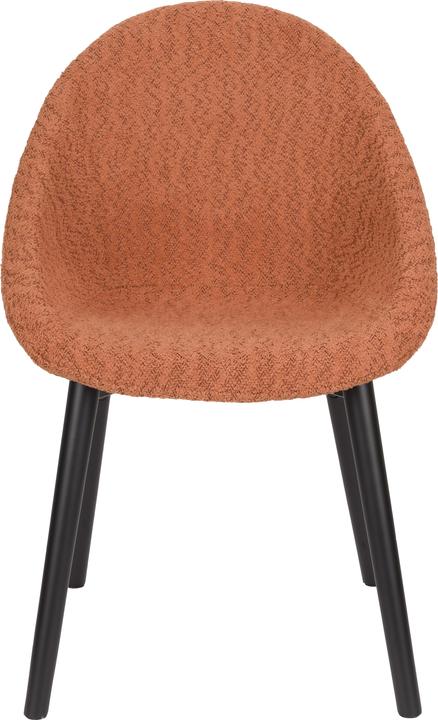 Actual product image Dutchbone Fenna Chair Terra