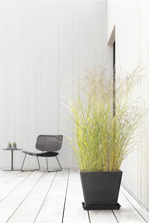 Actual product image Ecopots Rotterdam (50 cm)