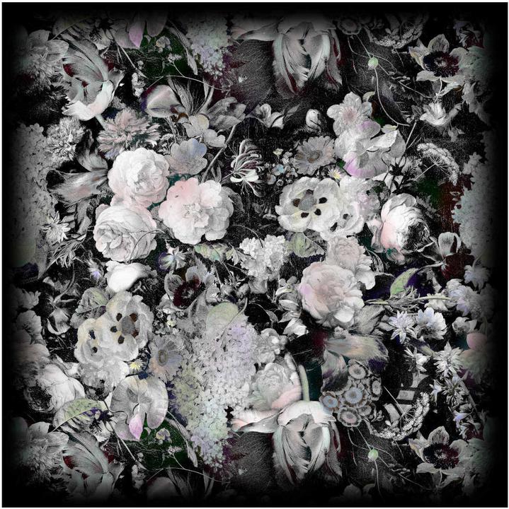 Image du produit Moooi Eden Queen B&W Tapis (250 x 250 cm)