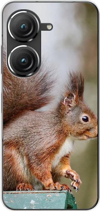 Eichhörnchen