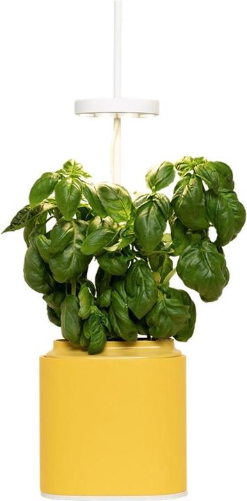 Image du produit Prêt à Pousser Pot pour herbes aromatiques Nano, Mimosa Yellow (13.50 cm)
