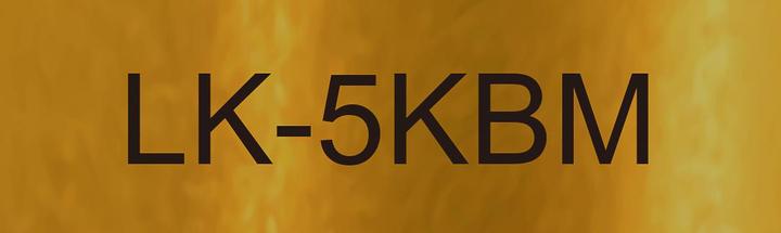 Actual product image Epson Metallic Gold/Black 18mm LK-5KBM (1.80 cm, Gold)