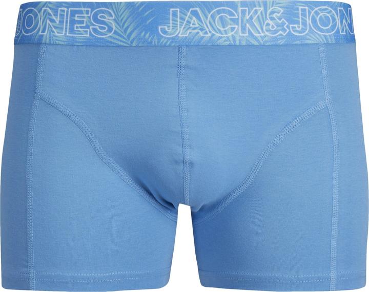 Actual product image Jack & Jones Jaccanvey Trunks 10 Pack (XL, pack of 10)