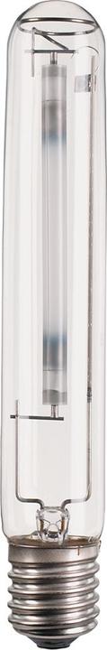 Produktbild Philips MST SON-T PIA Plus 150W/220 E40 - 1SL/12 (E40, 150 W, 17700 lm, 1 x, A)