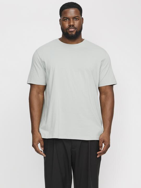 Immagine prodotto Jack & Jones Jjeorganic Basic Tee Ss O-Neck Noos Pls (5XL)
