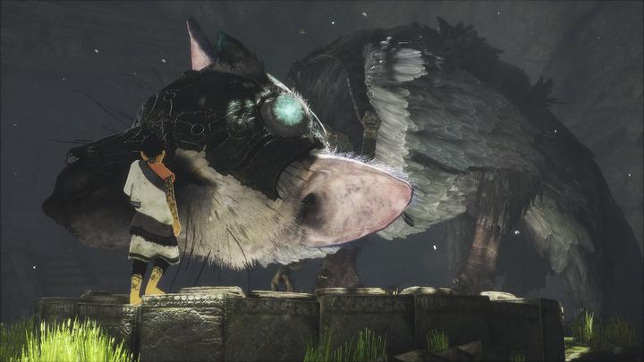 Actual product image Sony The Last Guardian (PS4, Multilingual)