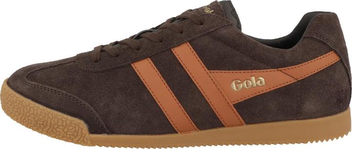 Dark Brown, Moody Orange