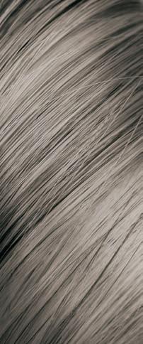 Immagine prodotto Hairgum Colore dei capelli e della barba (Biondo cenere)