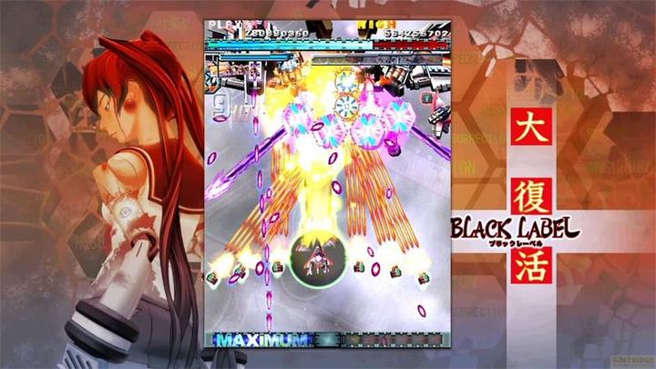 Actual product image Limited Run DoDonPachi Resurrection (Import) (Switch, Switch Lite, Switch OLED, EN)