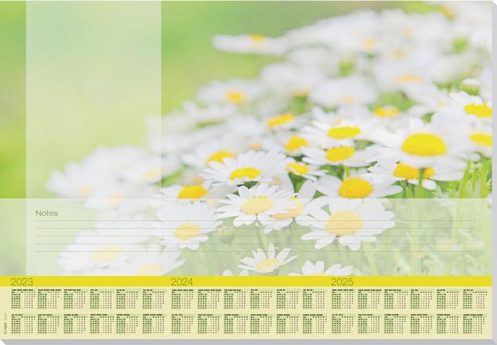 Immagine prodotto Sigel Blocchetto da tavolo Belle margherite verde/bianco 30 fogli