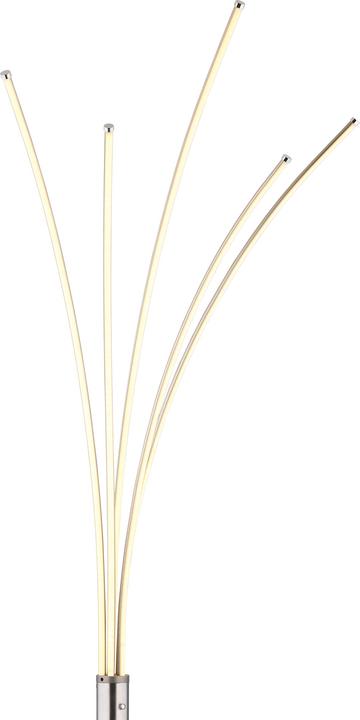 Actual product image Globo Bizzy