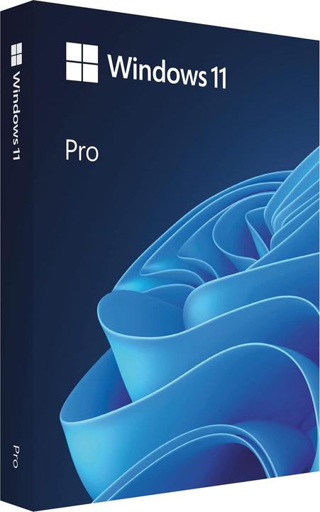 Microsoft Windows 11 Pro (DE) (1 Utilisateur, Illimité)