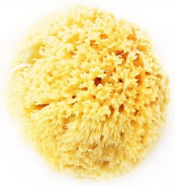 Immagine prodotto Herba Spugna naturale