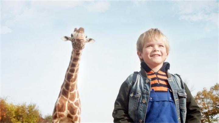 Produktbild Plaion Mein Freund, die Giraffe (DVD, 2017, Deutsch)