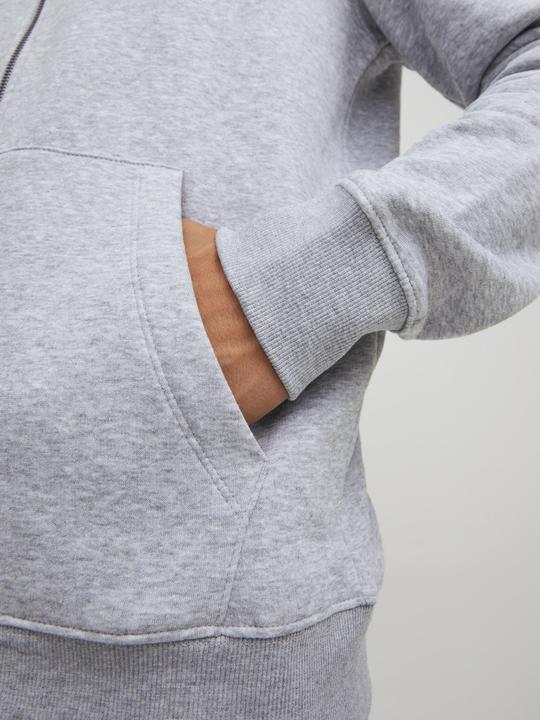 Actual product image Jack & Jones Basic Hoodie with Zipper (XS)