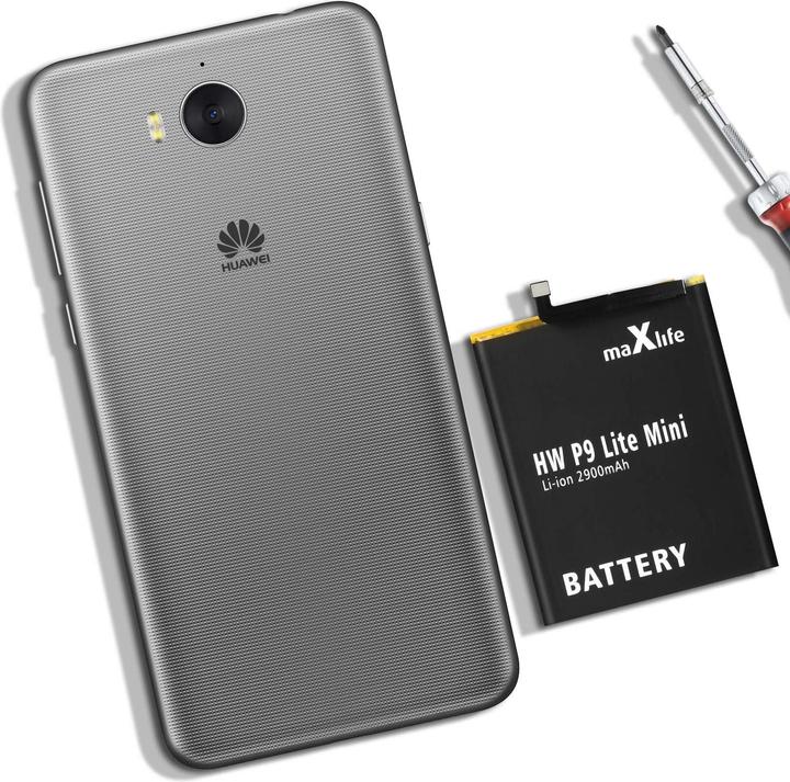 Produktbild Maxlife 2900mAh Zusatzakku