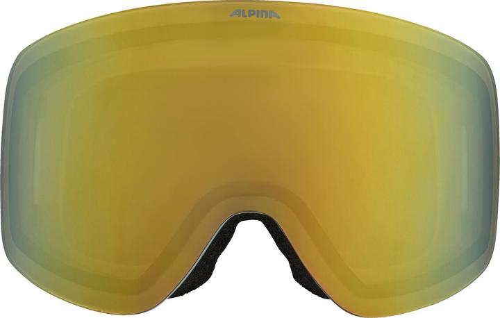 Actual product image ALPINA SPORTS Penken Q-Lite