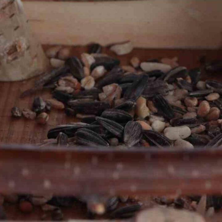 Immagine prodotto Siena Garden Casetta per uccelli NICK