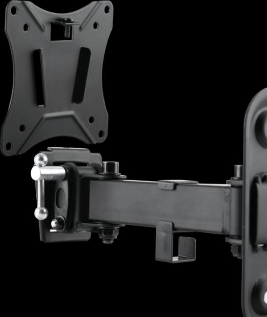 Immagine prodotto Schwaiger Mozione (Muro, 29", 25 kg)