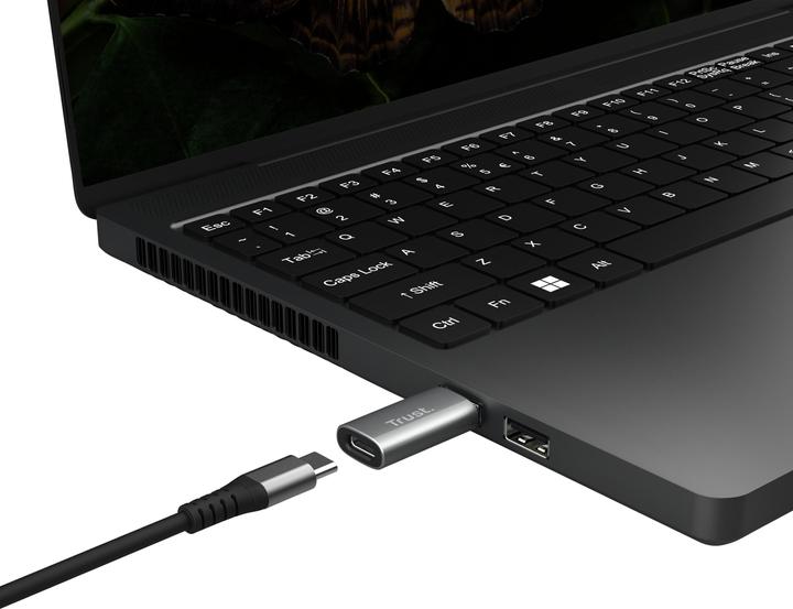 Actual product image Trust Calyx USB-A To USB-C Adapter 2p (USB-C, USB-A, 4.10 cm)