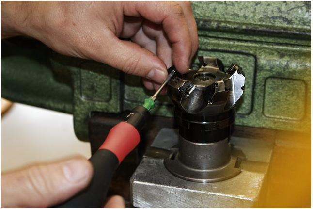 Actual product image Wiha Torque screwdriver (0.50 Nm, 2 Nm)