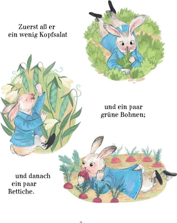 Produktbild Die Geschichte von Peter Hase (Deutsch, Potter, Beatrix, 2025)