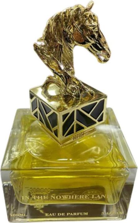 Aurora Scent In The Nowhere, Unisex, Eau De Parfum 100ml (Eau de Parfum, 100 ml)