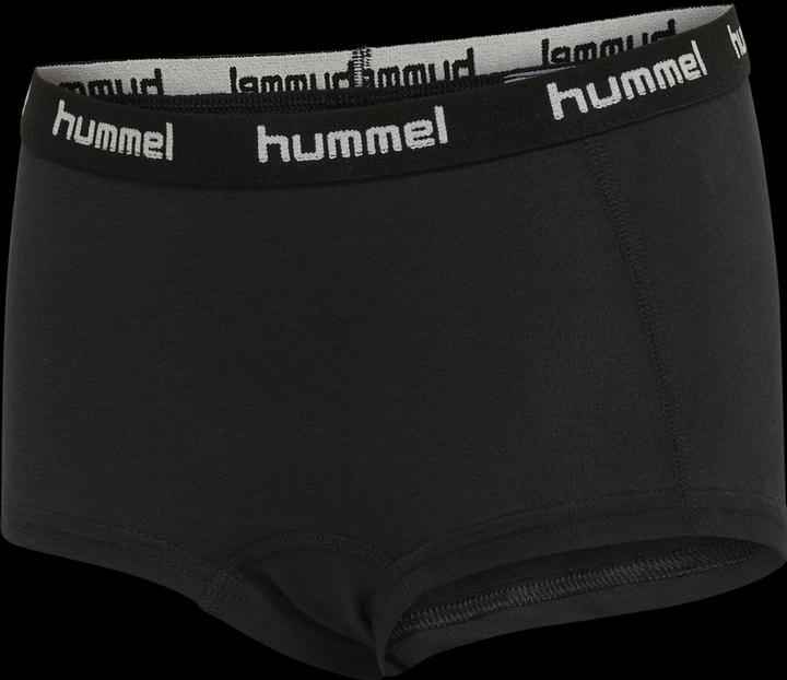 Image du produit hummel Hmlcarolina Hipsters 2-Pack (104, lot de 2)