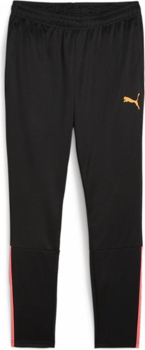 Actual product image Puma TeamLIGA track pants men (L)