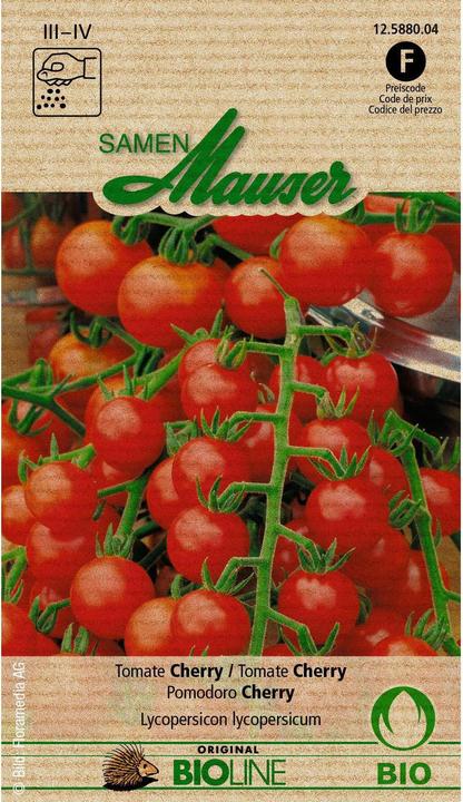 Samen Mauser Cherry (Gemüsesamen)